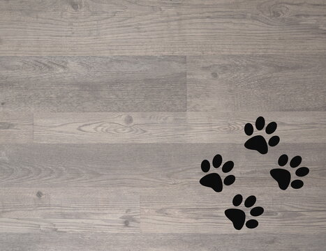 Wooden floor texture with paw prints pet animal with copy space for the text.