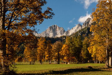 autumn colours