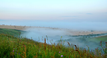 Misty morning on the river