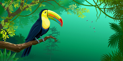 Giant Toucan sitting on a branch in a rainforest.