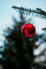 a Christmas ball on a branch of a fir tree. a branch of a fir tree with a Christmas toy on a blurry background is a New Year's holiday background. Holiday cards. Vertical photo