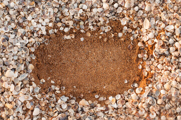 An oval frame made of seashells of different colors and shades with a sandy brown background in the center of the frame with a place for text