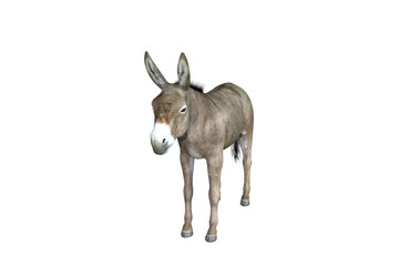 Photo-realistic illustration of the donkey with different poses and angles. 3D rendering illustration.