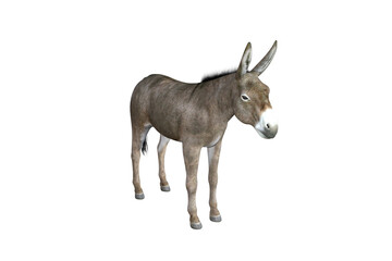 Photo-realistic illustration of the donkey with different poses and angles. 3D rendering illustration.