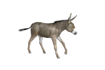 Photo-realistic illustration of the donkey with different poses and angles. 3D rendering illustration.