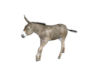 Fototapeta na wymiar Photo-realistic illustration of the donkey with different poses and angles. 3D rendering illustration.