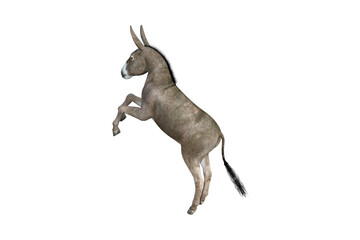 Photo-realistic illustration of the donkey with different poses and angles. 3D rendering illustration.