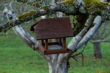 Vogelhaus hängt an einem Baum im Winter