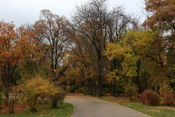 park alley in the fall