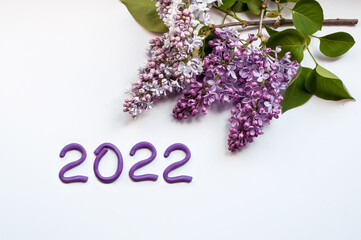 figures 2022 made of purple plasticine on a white background with lilac flowers in the corner