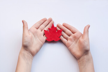 a red maple leaf made of plasticine lies on the children's palms on a white background