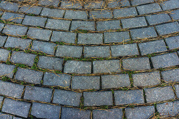 background road paving stones with pine needles and green grass