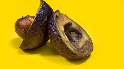 Rotten avocado close up on yellow background. Bad Overripe Tropical Fruits. Unhelthy food Concept with Copy space.