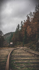 Obraz premium railway in the mountains