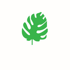 vector leaves or minimalist leaf or leaf logo