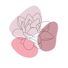 Lotus flower drawing and sketch black and white. Black line lotus design on pink background. Wall design, postcards, brochure covers, packaging and printouts. Vector lighting. Vector image design. In 