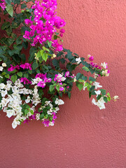 Alacati , Cesme/Izmir , Turkey