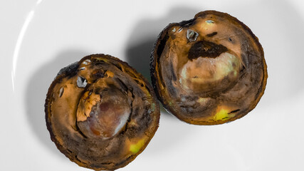 An avocado cut in half moldy on a plate. Rotten Food Contaminated Avocado Necomestibile Fruits Wasting Food Unhealthy Tropical Fruits. Food Concept.