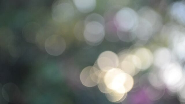 Efecto bokeh - Fondo de naturaleza hojas flores y sol desenfocado - hermosos c&iacute;rculos bokeh
