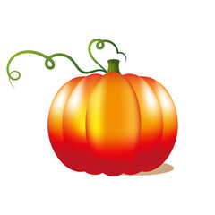 Big orange pumkin halloween on white background