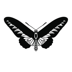 Butterfly Logo Symbol. Stencil Design. Tattoo Vector Illustration.