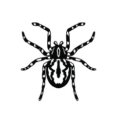 Tarantula Logo Symbol. Stencil Design. Tattoo Vector Illustration.