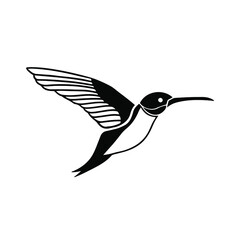 Black Colibri Logo on White Background. Tattoo Design Stencil Vector Illustration.