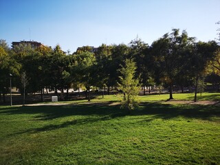 University campus park in the city during autumn
