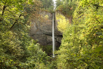 Latourell Falls framed by trees