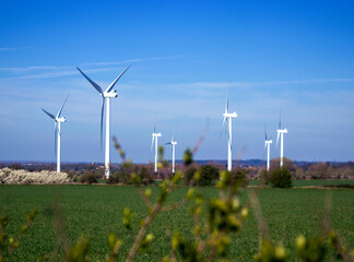 wind turbines in the field