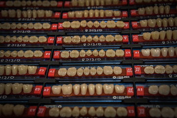 samples of human artificial teeth