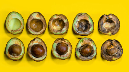 Ugly Avocado on Yellow background. Evolution of Ripening Avocado tropical Fruits. Overripe avocado...