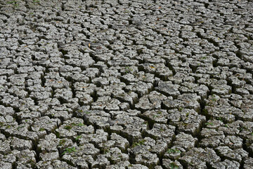 Cracked bottom of a dried out lake in Ukraine.