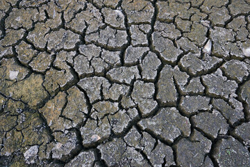 Cracked bottom of a dried out lake in Ukraine.