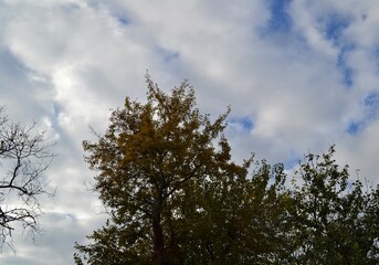 sky and clouds