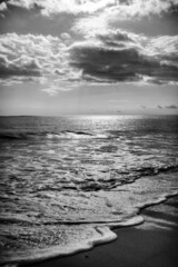 Moonstone Black and White