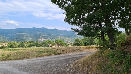 gravel path in summer landscape