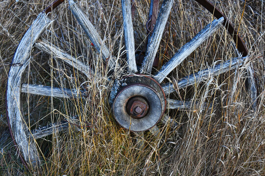 An image of an old vintage wooden wagon wheel in tall dead grass. 