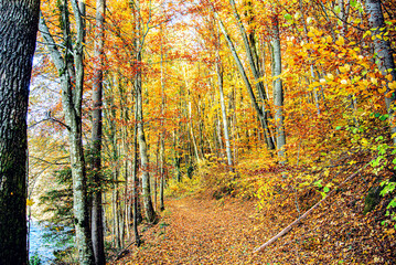Herbst 2021