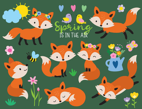 Cute jumping, sleeping, sitting foxes in Spring season theme vector illustration.