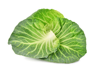 Green cabbage leaves isolated on white background.