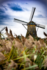 Dutch famous landscape, windmills in Netherlands