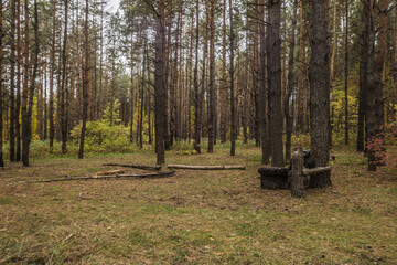 Obraz premium autumn nature of Sursky krai