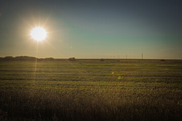 autumn nature of Sursky krai