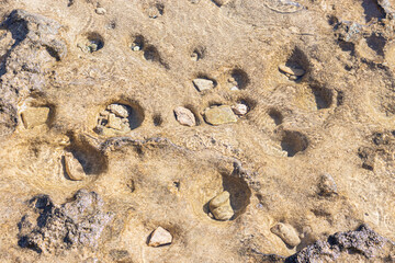 textured background brown stone with cracks on the surface. copy space. abstract stone background for design. sea stone.