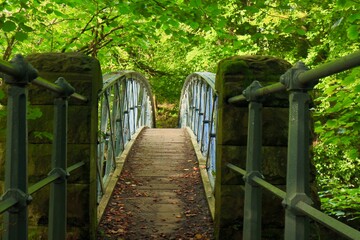 bridge nature scene