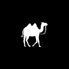 Camel icon in white on a black background. Vector. 