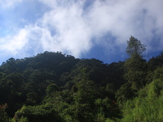 Beautiful blue sky in the mountain at morning with dramatic tree sillhouette
