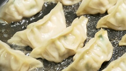 Japanese Dumpling Fried on A Plate, Gyoza or Jiaozi, Cooking or Food Background	