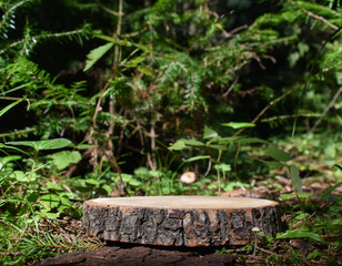 A minimalistic wooden stage set against the background of a forest. A podium for the presentation of goods and cosmetics.